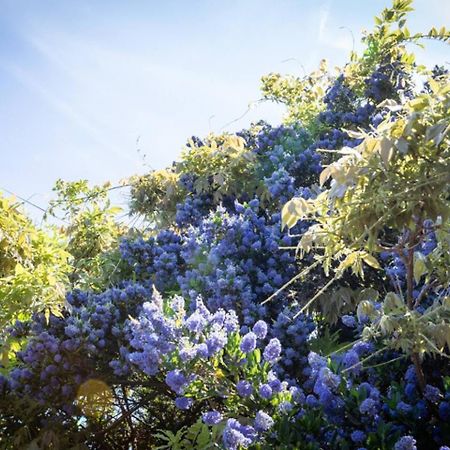 Eden Cottage Whitstable Bagian luar foto