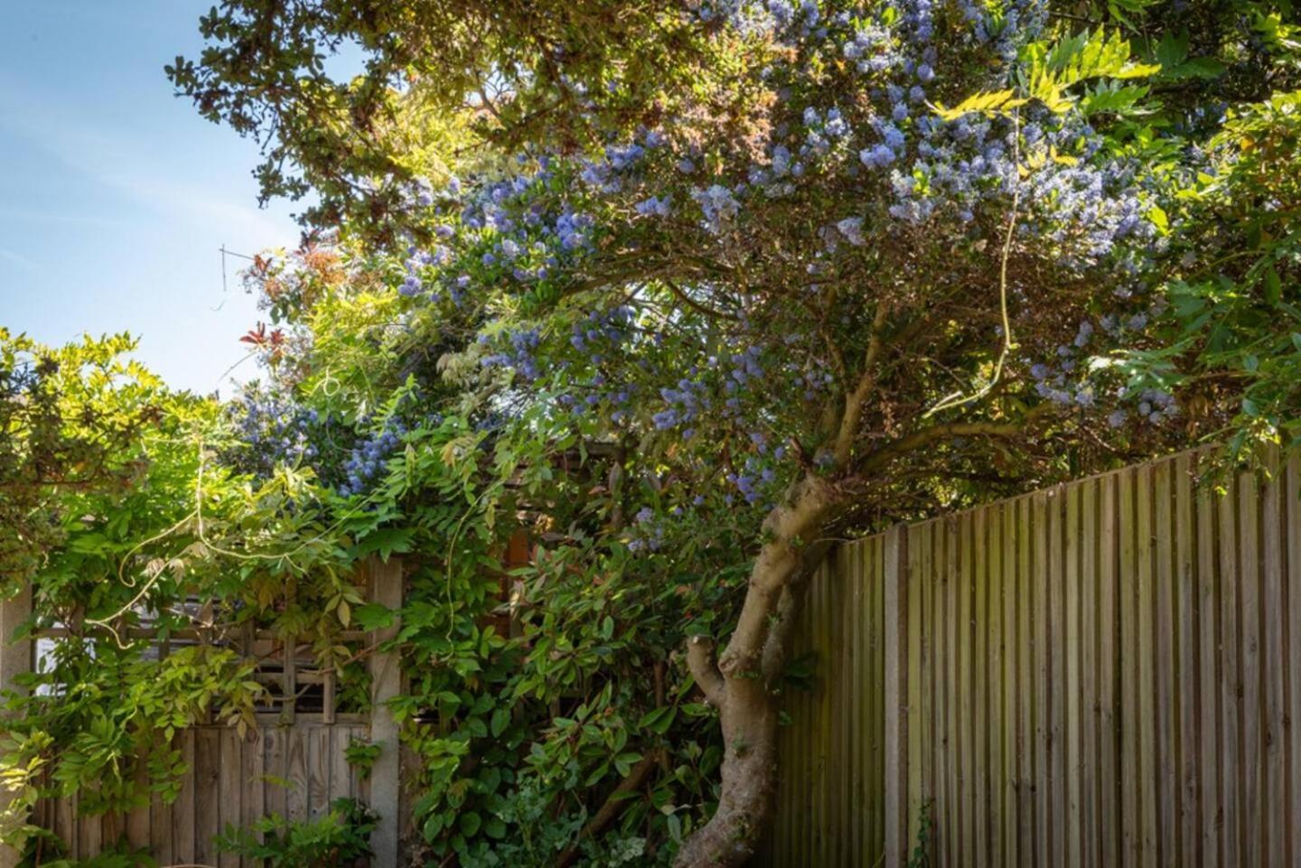 Eden Cottage Whitstable Bagian luar foto